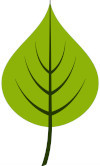 logo leaf